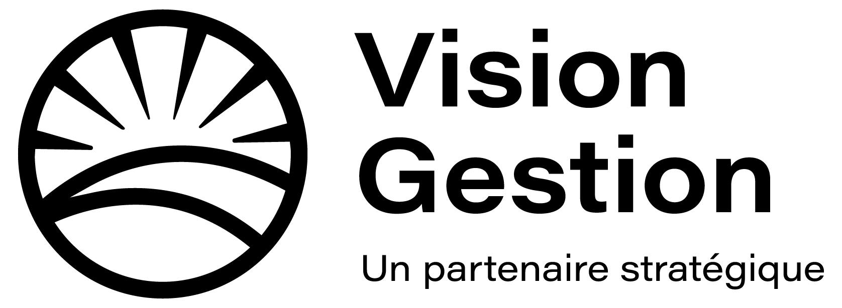 Vision Gestion